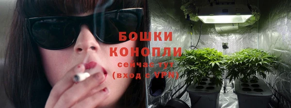 МДПВ Бикин