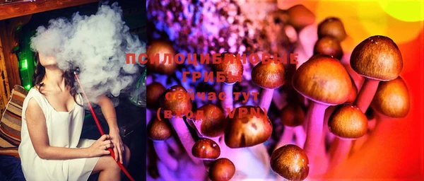 стафф Нефтекумск