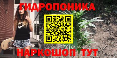 прущая мука Гусев