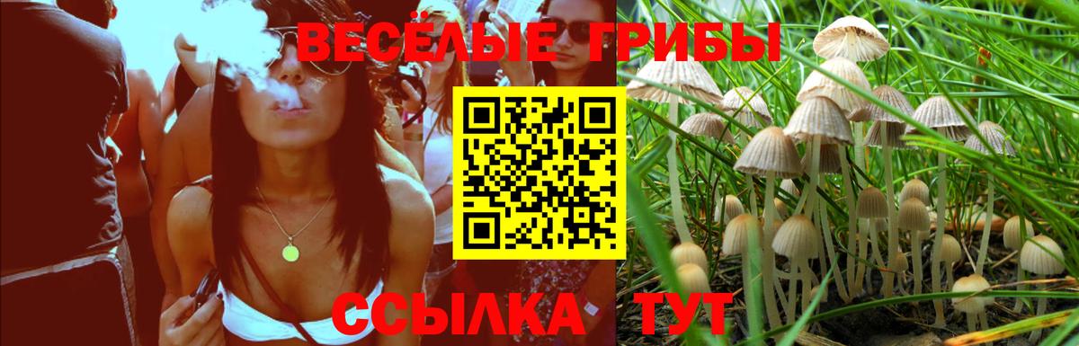 Псилоцибиновые грибы Magic Shrooms  Галлюциногенные грибы мухоморы  Корсаков  цена   Вход с VPN 